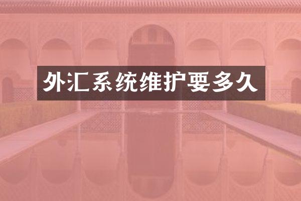 外汇系统维护要多久