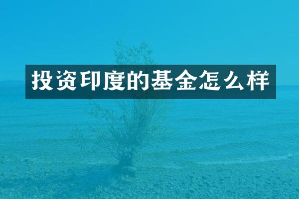 投资印度的基金怎么样