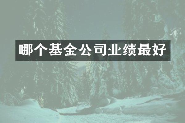 哪个基金公司业绩最好
