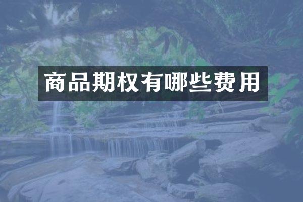 商品期权有哪些费用