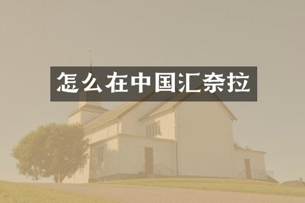 怎么在中国汇奈拉