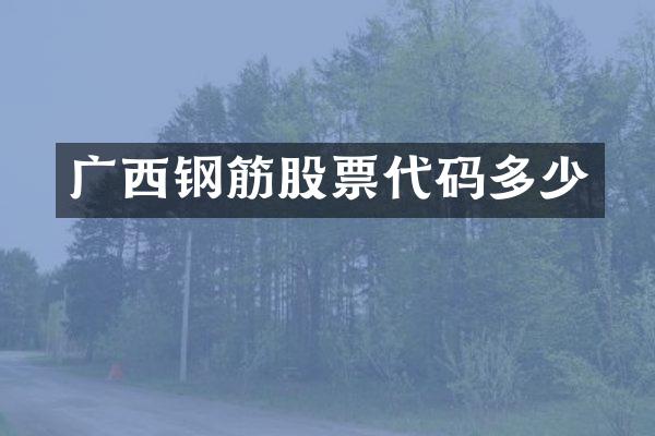 广西钢筋股票代码多少