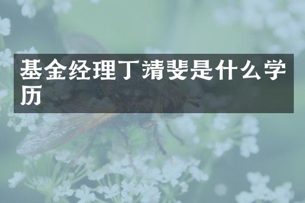 基金经理丁靖斐是什么学历
