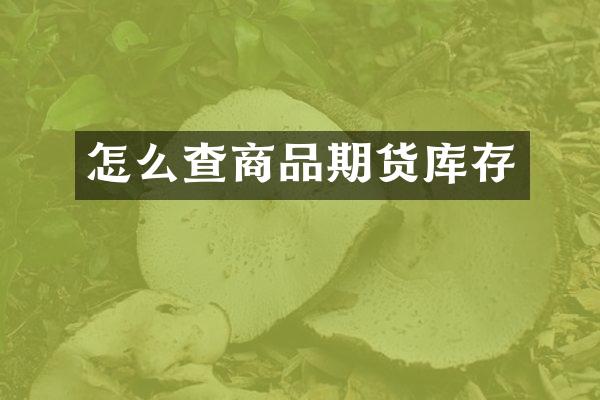 怎么查商品期货库存