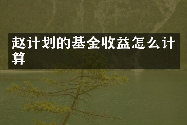 赵计划的基金收益怎么计算