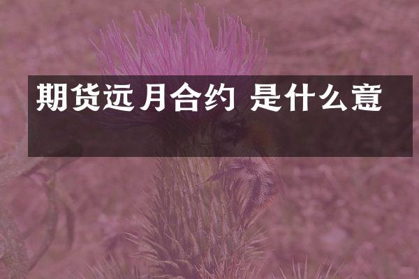 期货远月合约 是什么意思