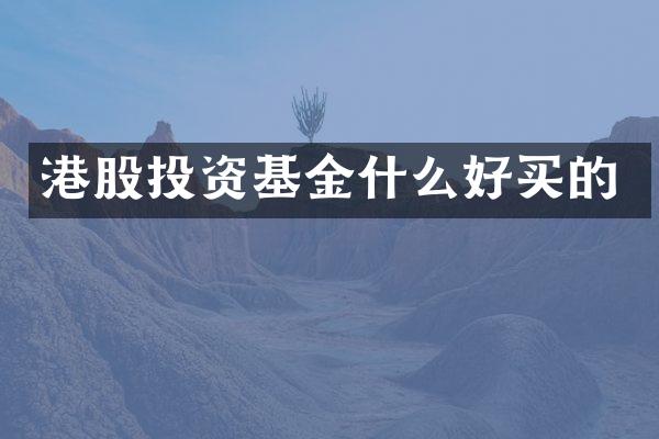 港股投资基金什么好买的