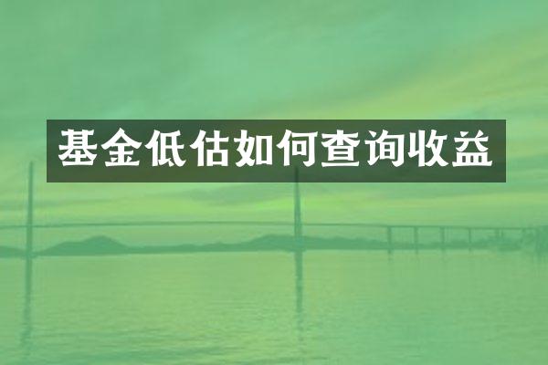 基金低估如何查询收益