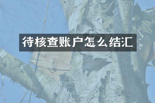 待核查账户怎么结汇