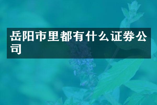 岳阳市里都有什么证券公司