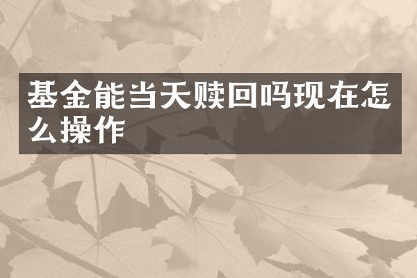 基金能当天赎回吗现在怎么操作