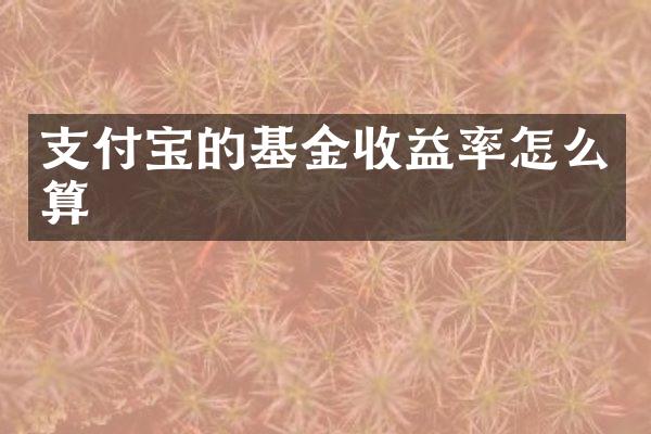 支付宝的基金收益率怎么算