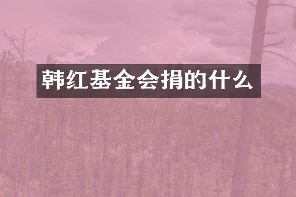 韩红基金会捐的什么
