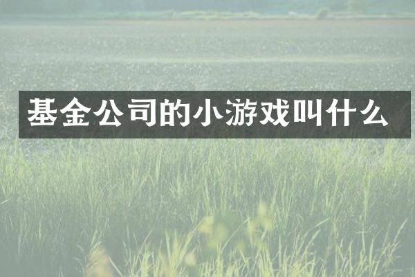基金公司的小游戏叫什么