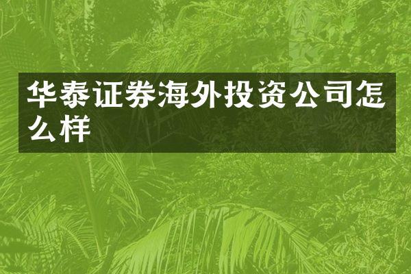 华泰证券海外投资公司怎么样