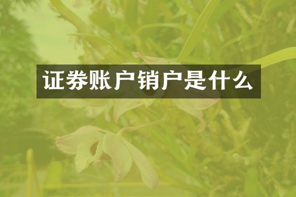 证券账户销户是什么