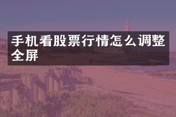 手机看股票行情怎么调整全屏