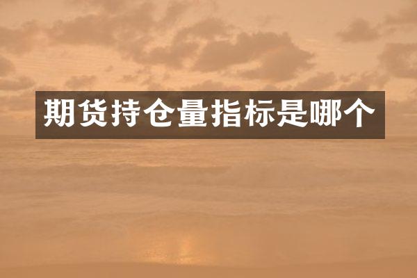 期货持仓量指标是哪个