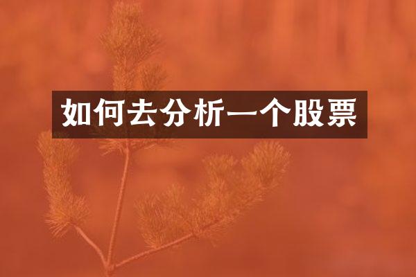 如何去分析一个股票