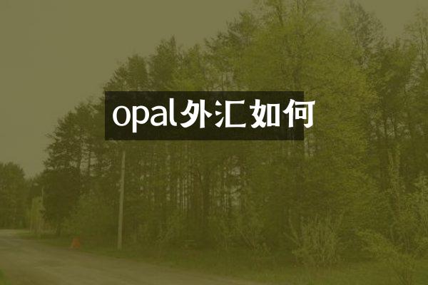 opal外汇如何
