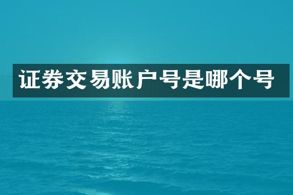 证券交易账户号是哪个号