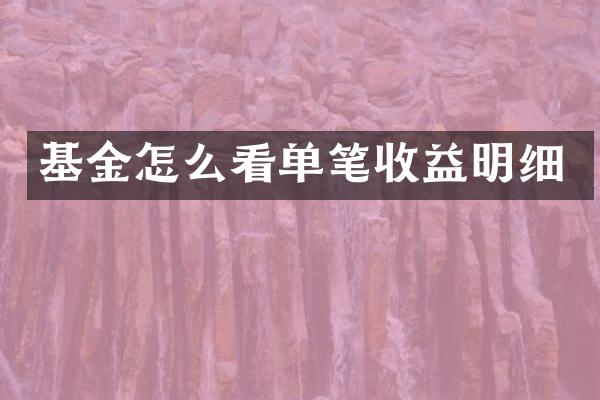 基金怎么看单笔收益明细