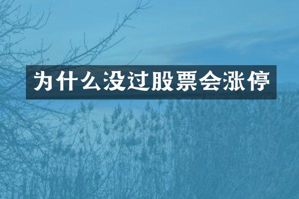 为什么没过股票会涨停