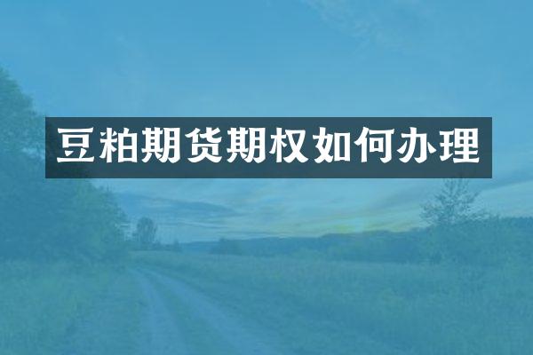 豆粕期货期权如何办理