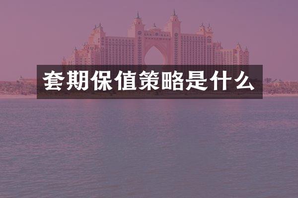 套期保值策略是什么