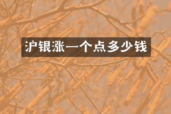 沪银涨一个点多少钱
