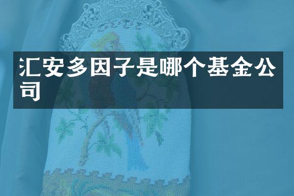 汇安多因子是哪个基金公司