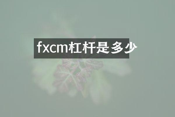 fxcm杠杆是多少