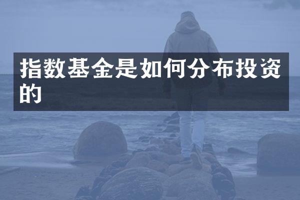 指数基金是如何分布投资的