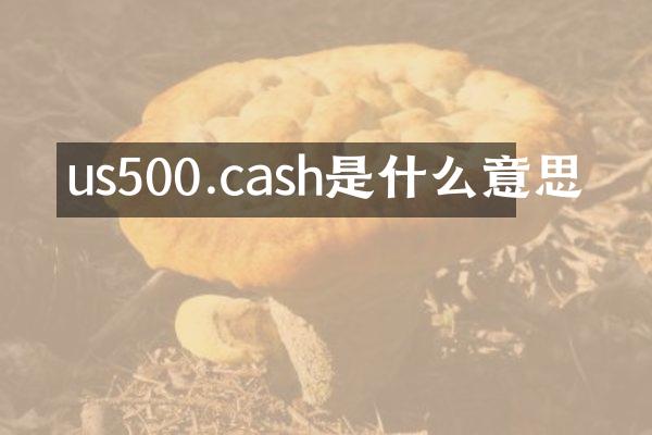 us500.cash是什么意思