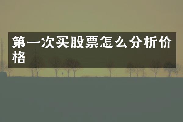 第一次买股票怎么分析价格