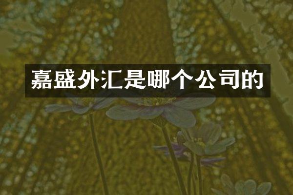 嘉盛外汇是哪个公司的