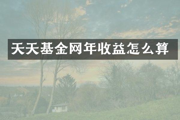 天金网年收益怎么算
