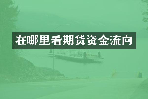 在哪里看期货资金流向