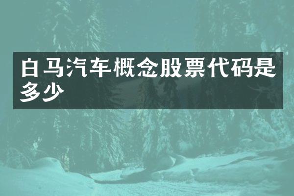 白马汽车概念股票代码是多少