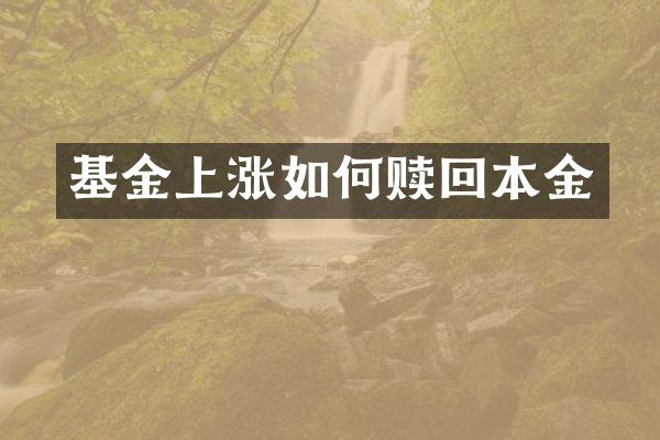 基金上涨如何赎回本金
