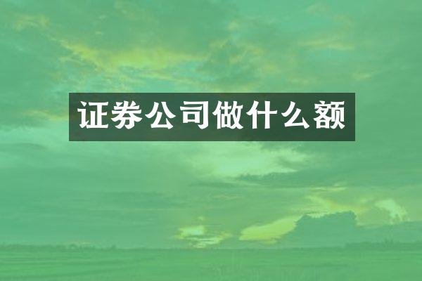 证券公司做什么额
