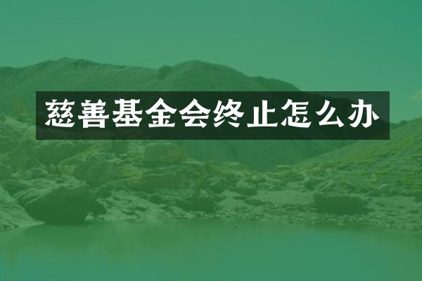 慈善基金会终止怎么办