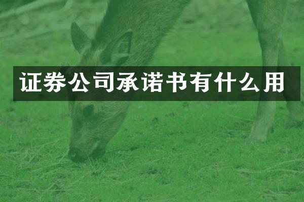 证券公司承诺书有什么用