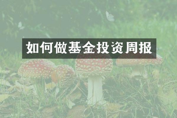 如何做基金投资周报