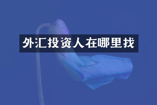 外汇投资人在哪里找