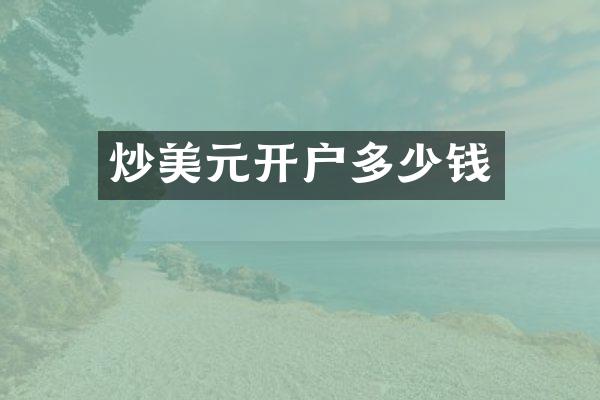炒美元开户多少钱
