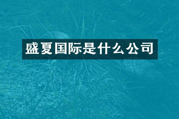 盛夏国际是什么公司