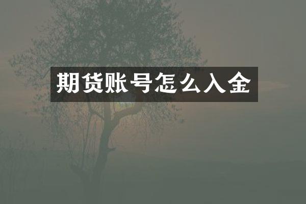期货账号怎么入金