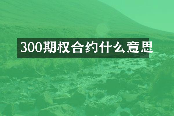 300期权合约什么意思