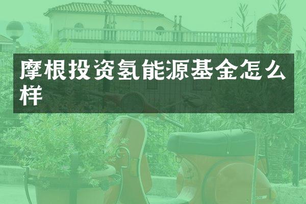 摩根投资氢能源基金怎么样